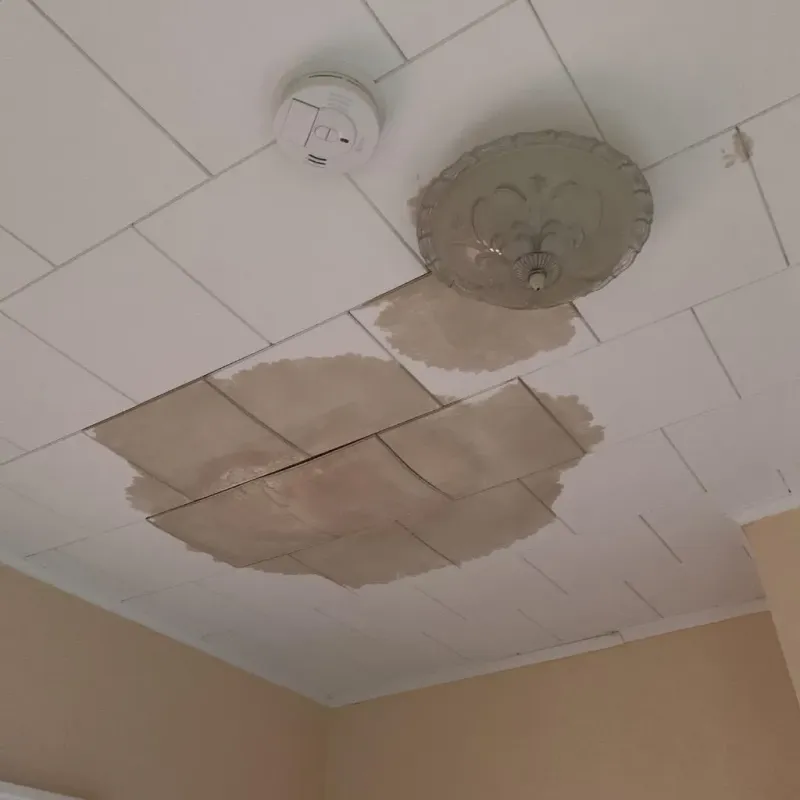 Ceiling Water Damage Repair in Doolittle, TX