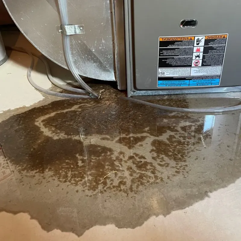 Pipe Burst and Leak Restoration in Doolittle, TX