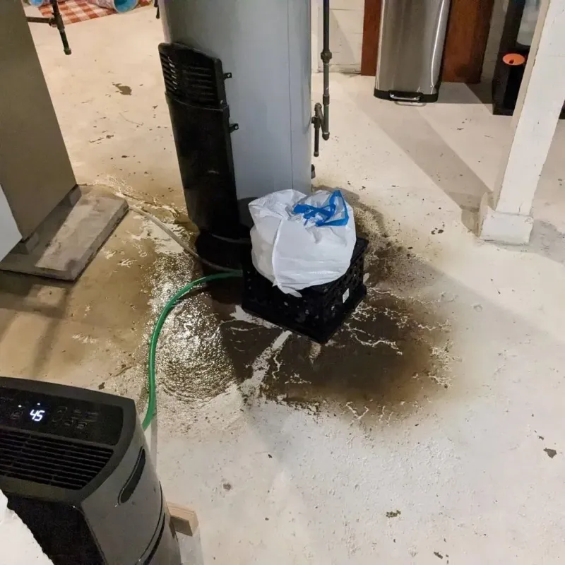 Sewage Backup Cleanup Service in Doolittle, TX